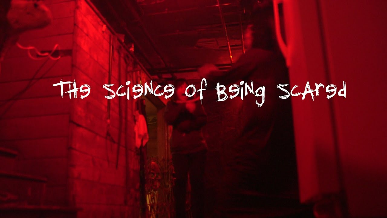 The Science of Being Scared