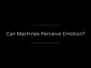 Can Machines Perceive Emotions? (ACII'19)