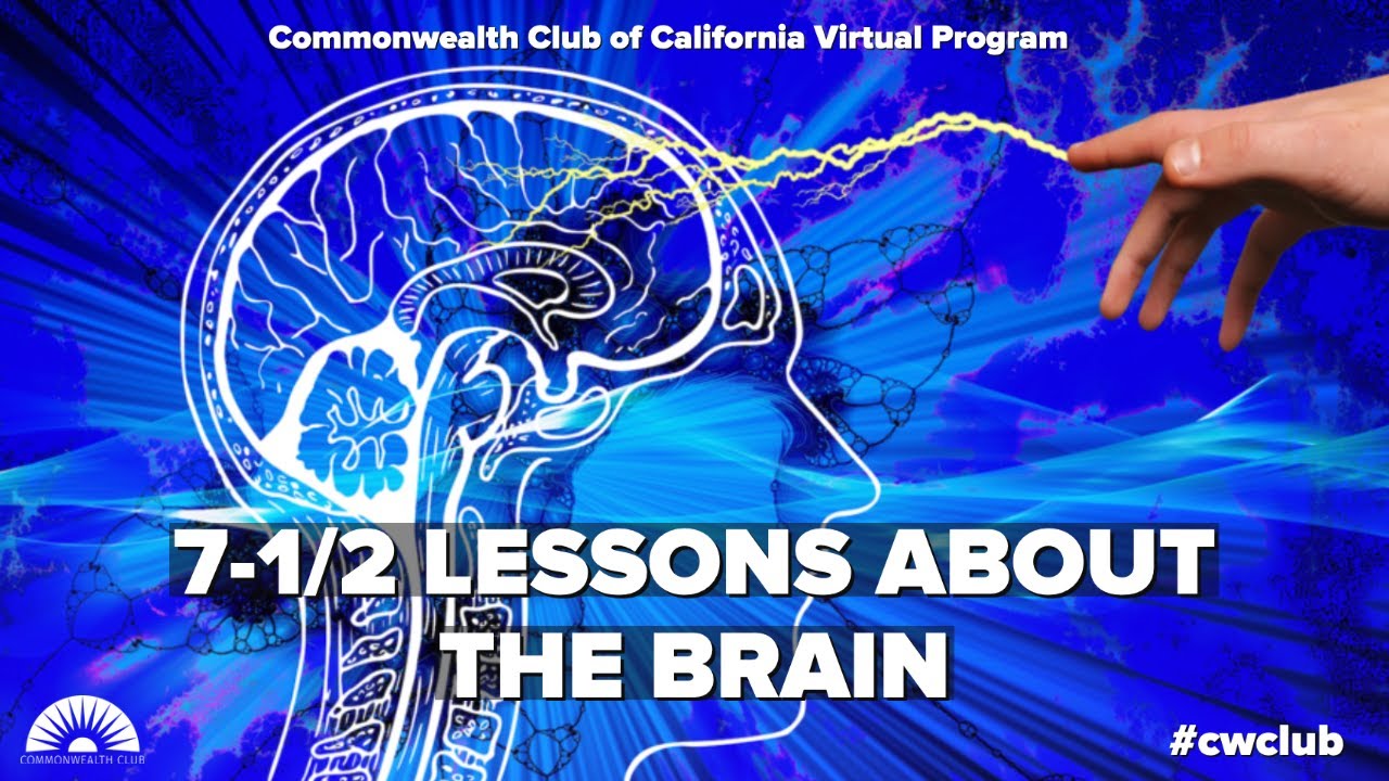 Conversation: 7 1/2 Lessons about the Brain