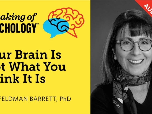 Your Brain Is Not What You Think It Is
