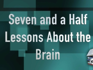 Seven and a half Lessons about the Brain, with Peter Godfrey-Smith