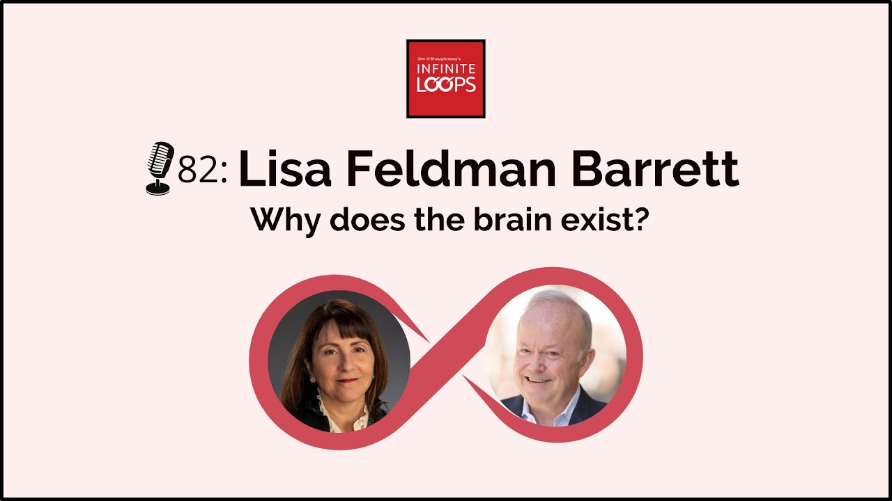 Why does the brain exist?