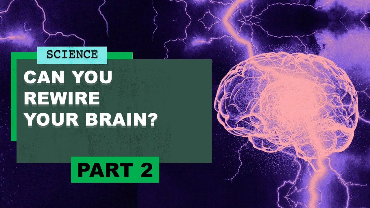 "What Brain Evolution Reveals About Human Nature," part 2: The myth of lizard brain vs rational brain