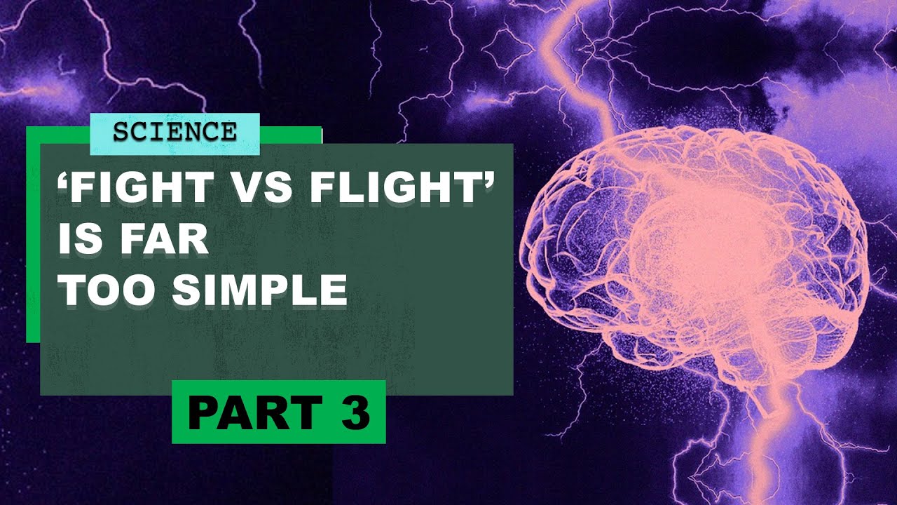 "What Brain Evolution Reveals About Human Nature," part 3: Why does our brain make emotions?