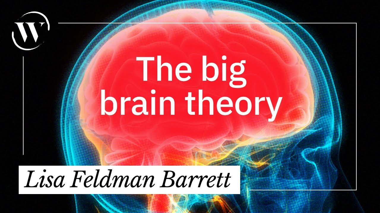 An evolutionary history of the human brain, in 7 minutes