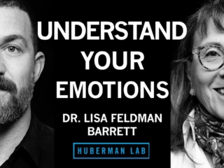 How to Understand Emotions