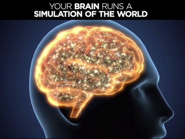 Your brain runs a simulation of the world
