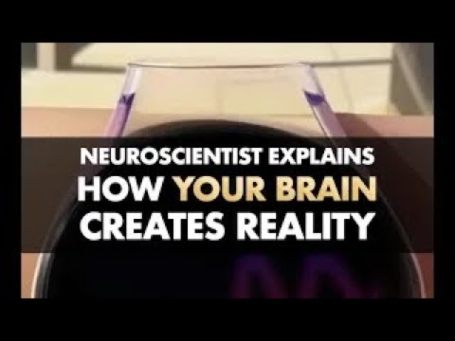 How Your Brain Creates Reality