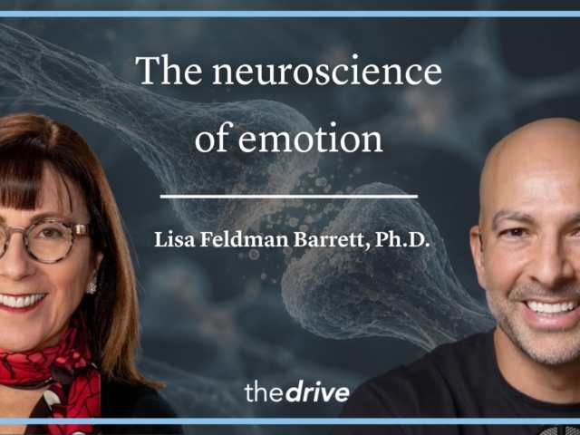 The neuroscience of emotion